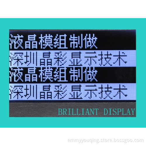 Custom Design FSTN LCD Modules with RoHS Certification